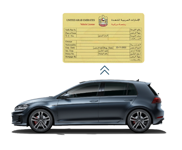 Vehicle Licensing Overview